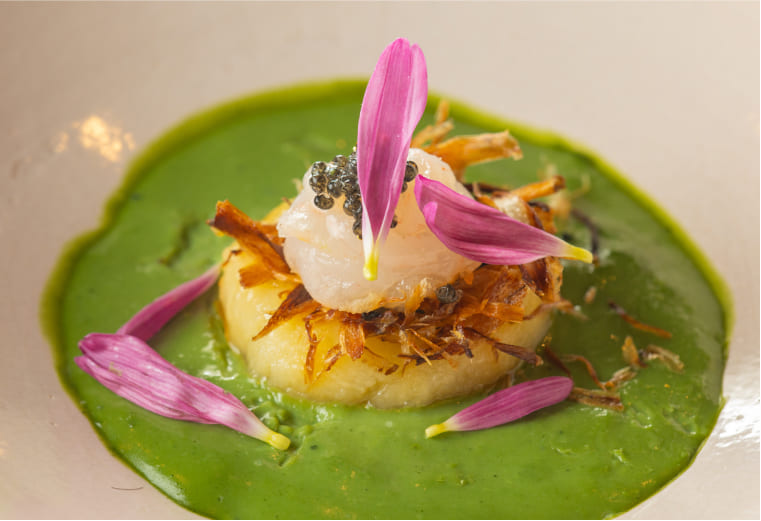 cuisine 10